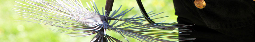 Banner - Frank Duschek